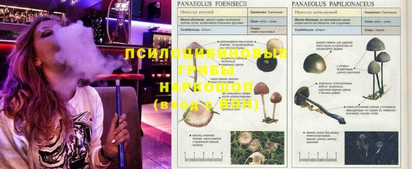 Альфа ПВП Балахна