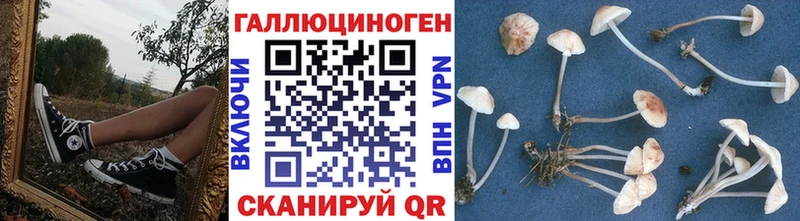 Галлюциногенные грибы мухоморы  дарнет шоп  Невель 